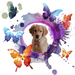 butterfly-dog